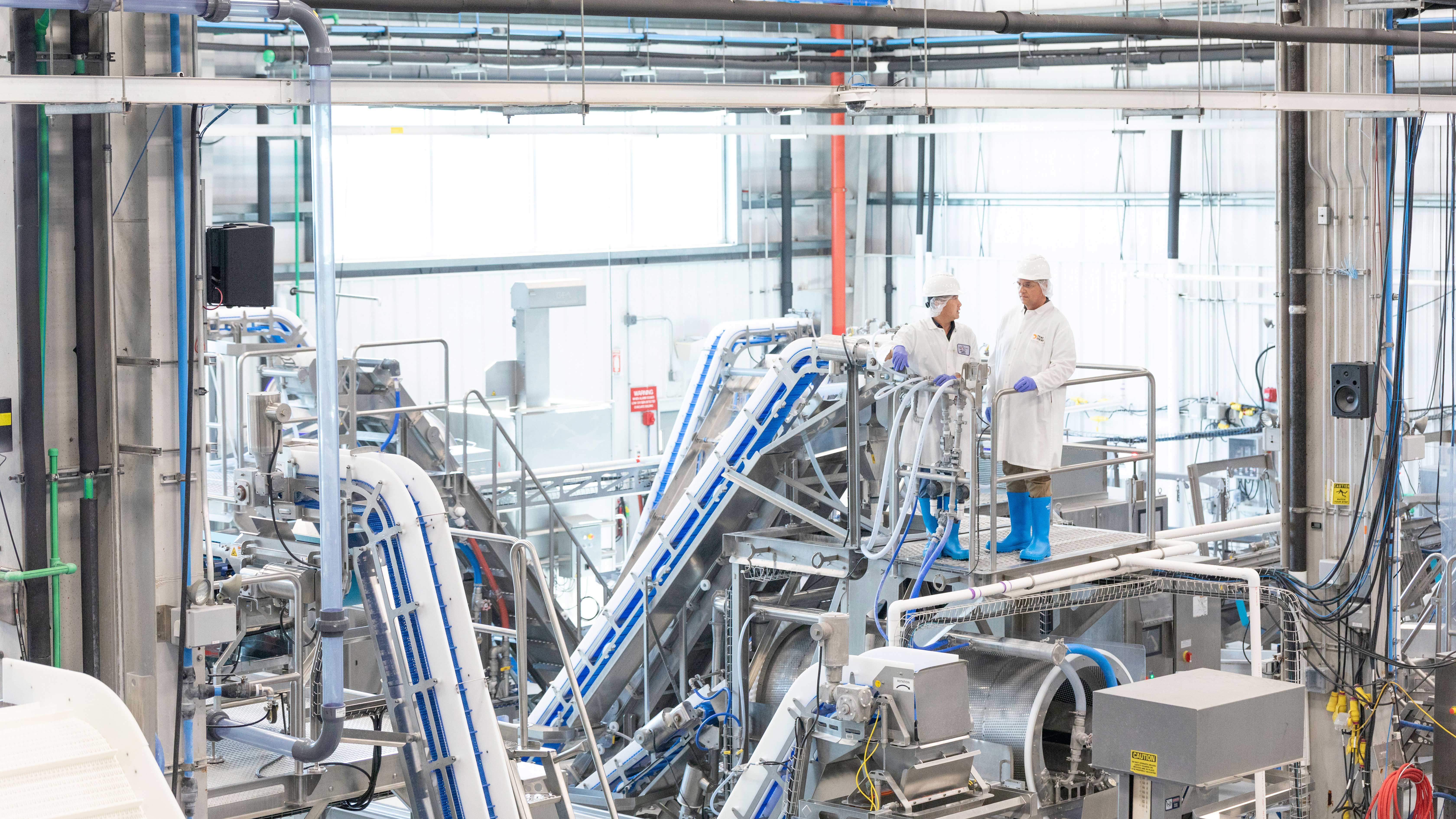 Two workers in white lab coats, hard hats, gloves, and blue rubber boots stand on a metal platform inside a bright, industrial food processing facility, overseeing stainless steel conveyor systems, pipes, and automated machinery.