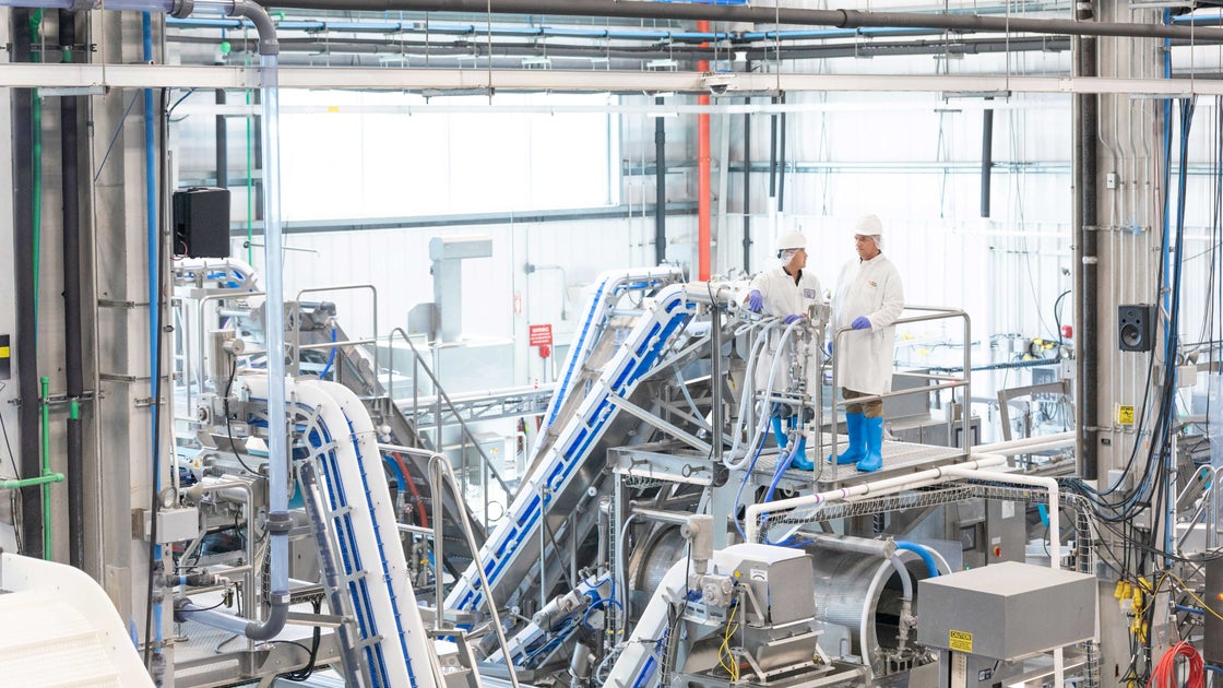 The Food Partnership Reshaping the Industry | Intralox