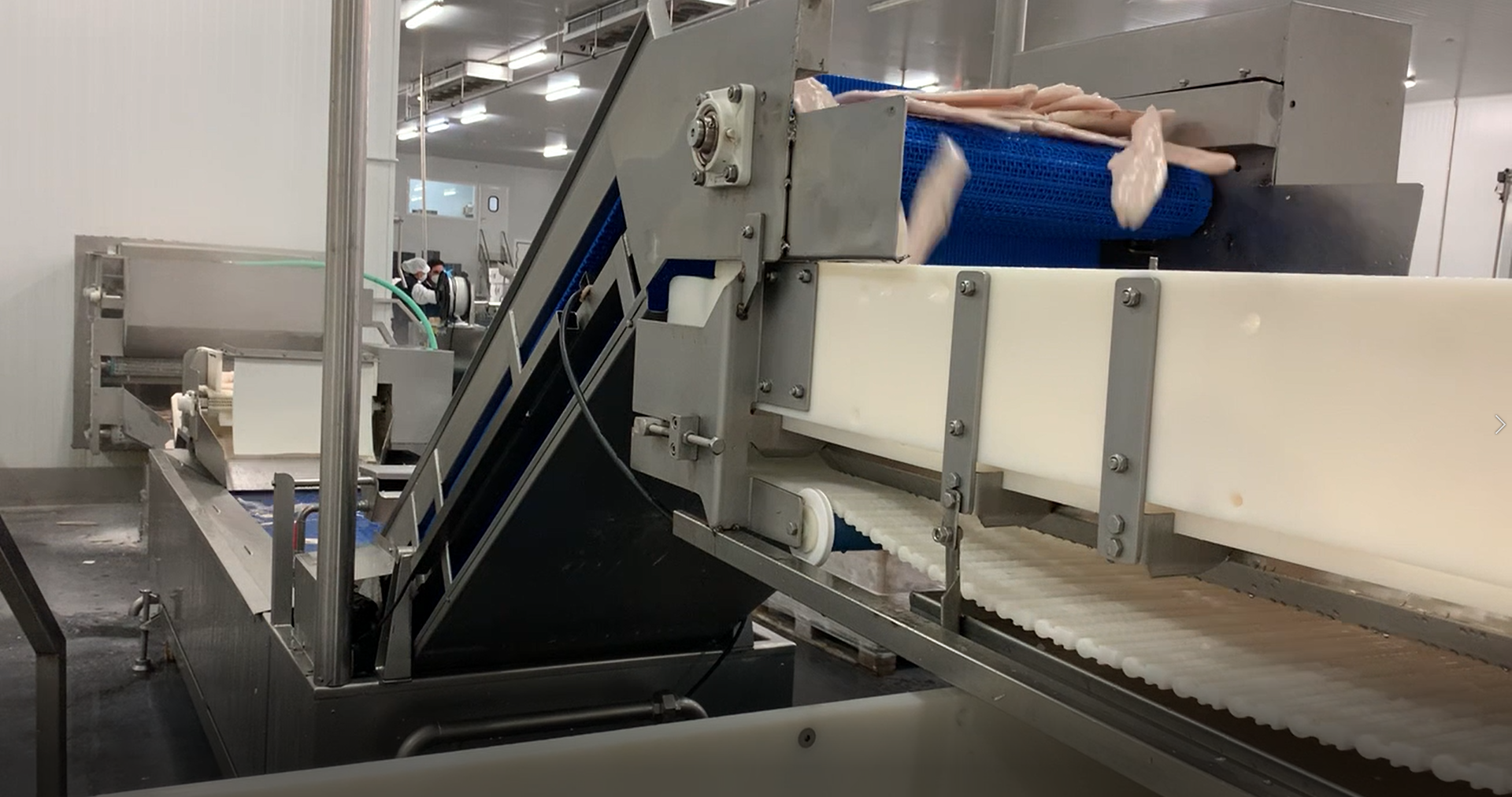 Filetes de pescado congelados en un transportador inclinado equipado con bandas Flush Grid Nub Top S900 de Intralox