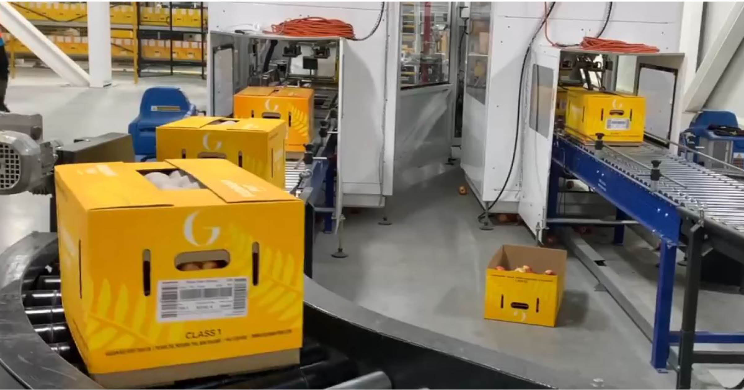 Boxes of apples make their way to the ARB Switch S7000 at Golden Bay Fruit