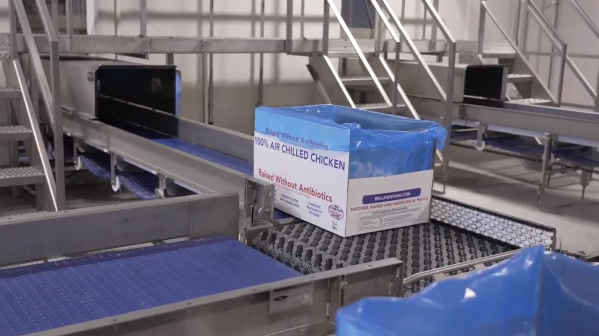 Open top white box lined with blue plastic transferring between conveyors on ARB transfer unit. Box is labelled "100% Air Chilled Chicken"