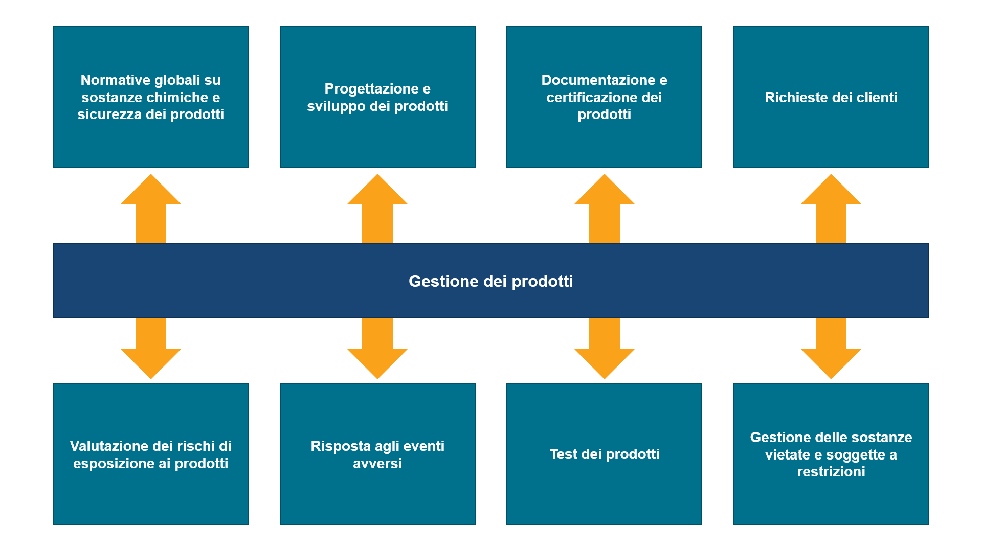Infografica sulla gestione dei prodotti