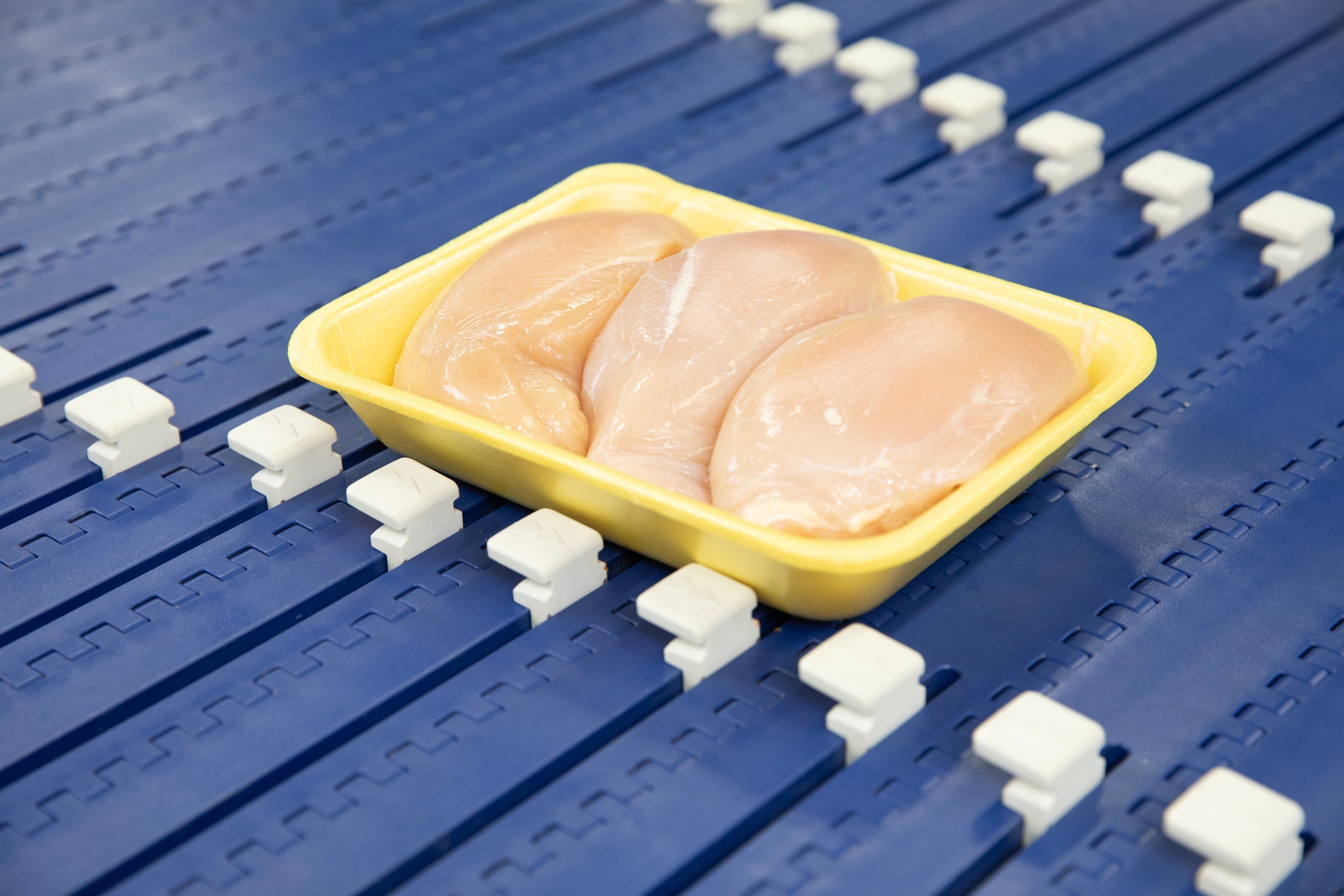 Tray pack of chicken breasts on AIM conveyor