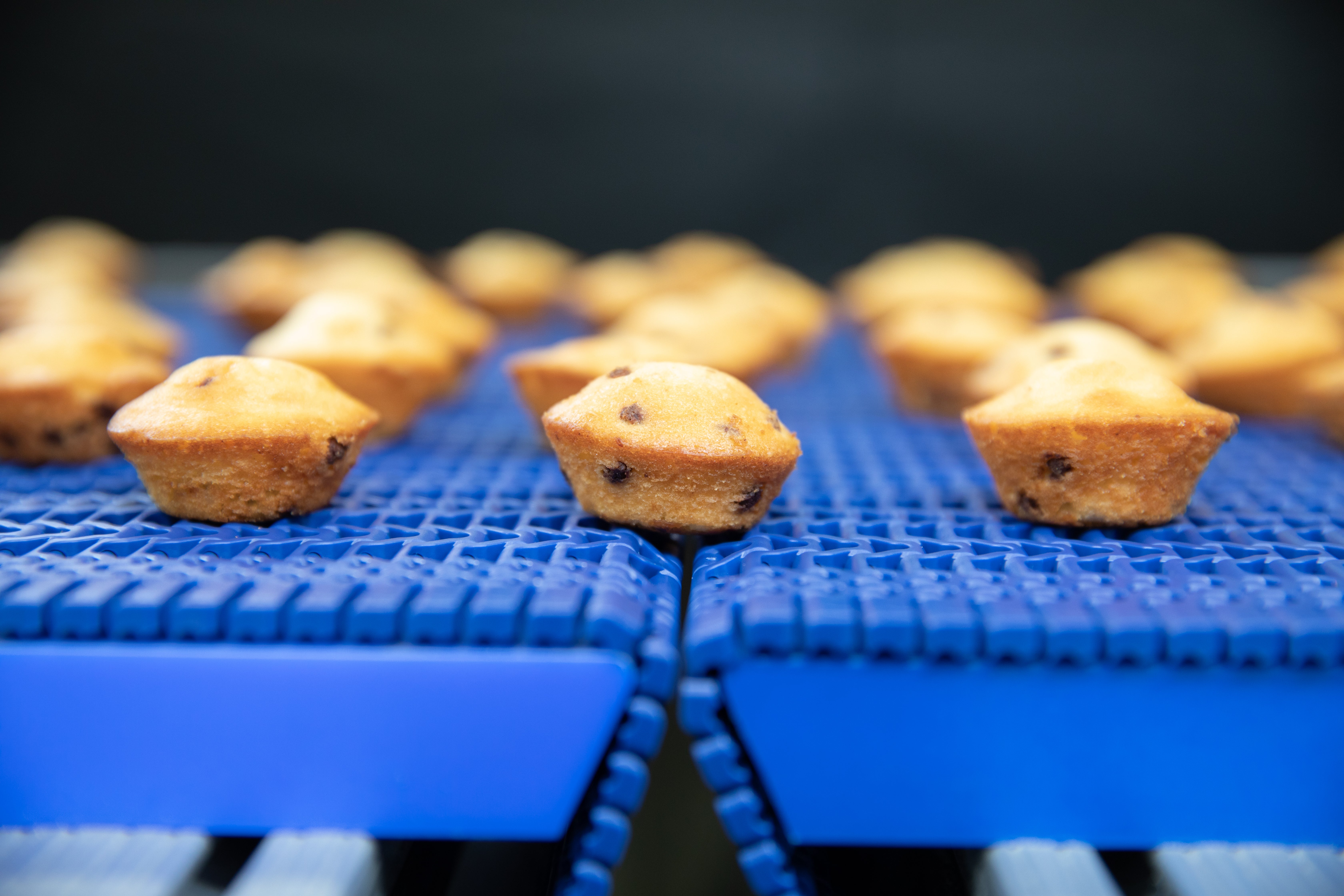 Heidelbeer-Mini-Muffins auf Förderer mit engen Übergaben der Serie 560