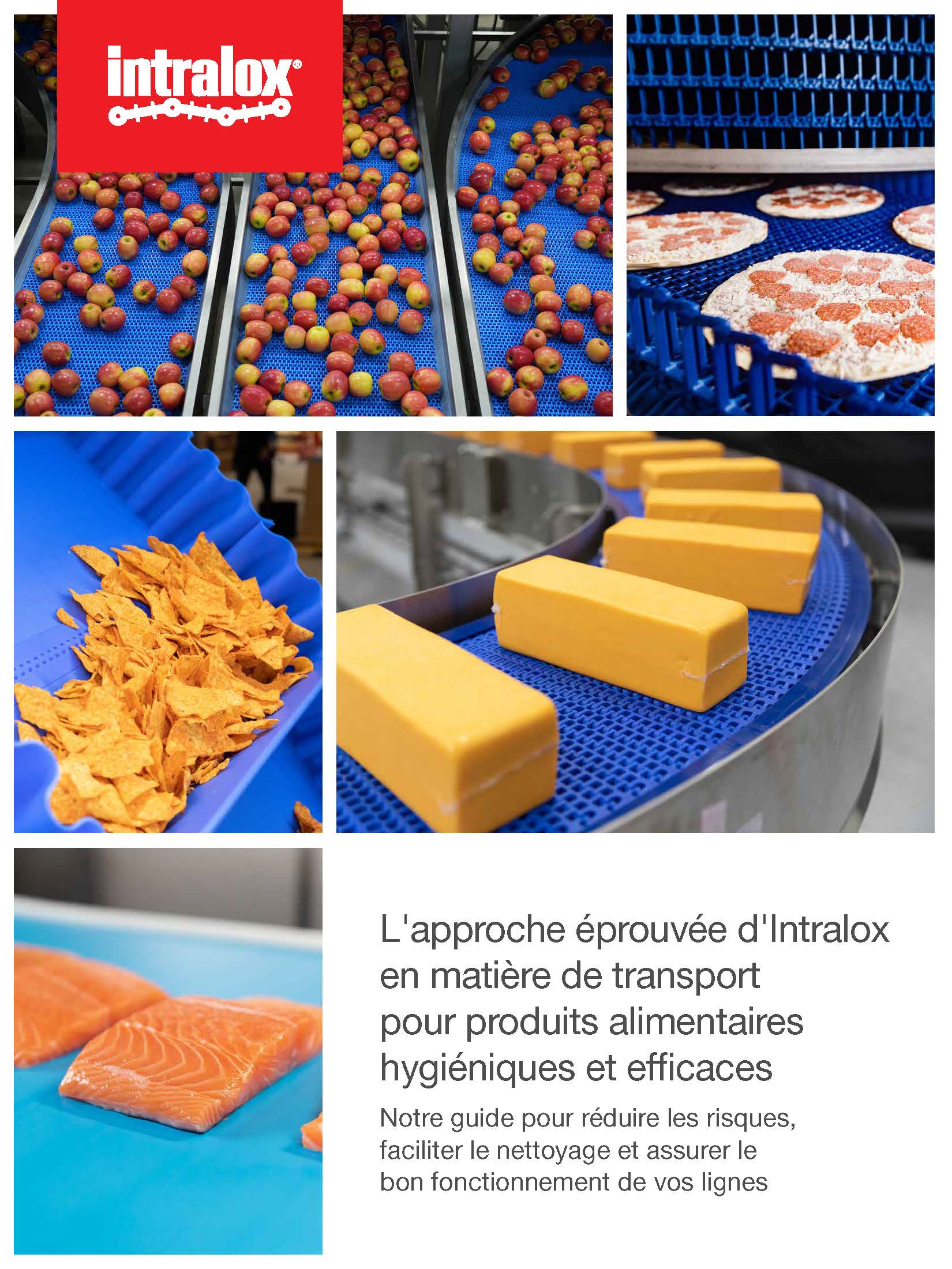 Image miniature du livre blanc intitulé « L'approche éprouvée d'Intralox pour un transport efficace et hygiénique des denrées alimentaires »