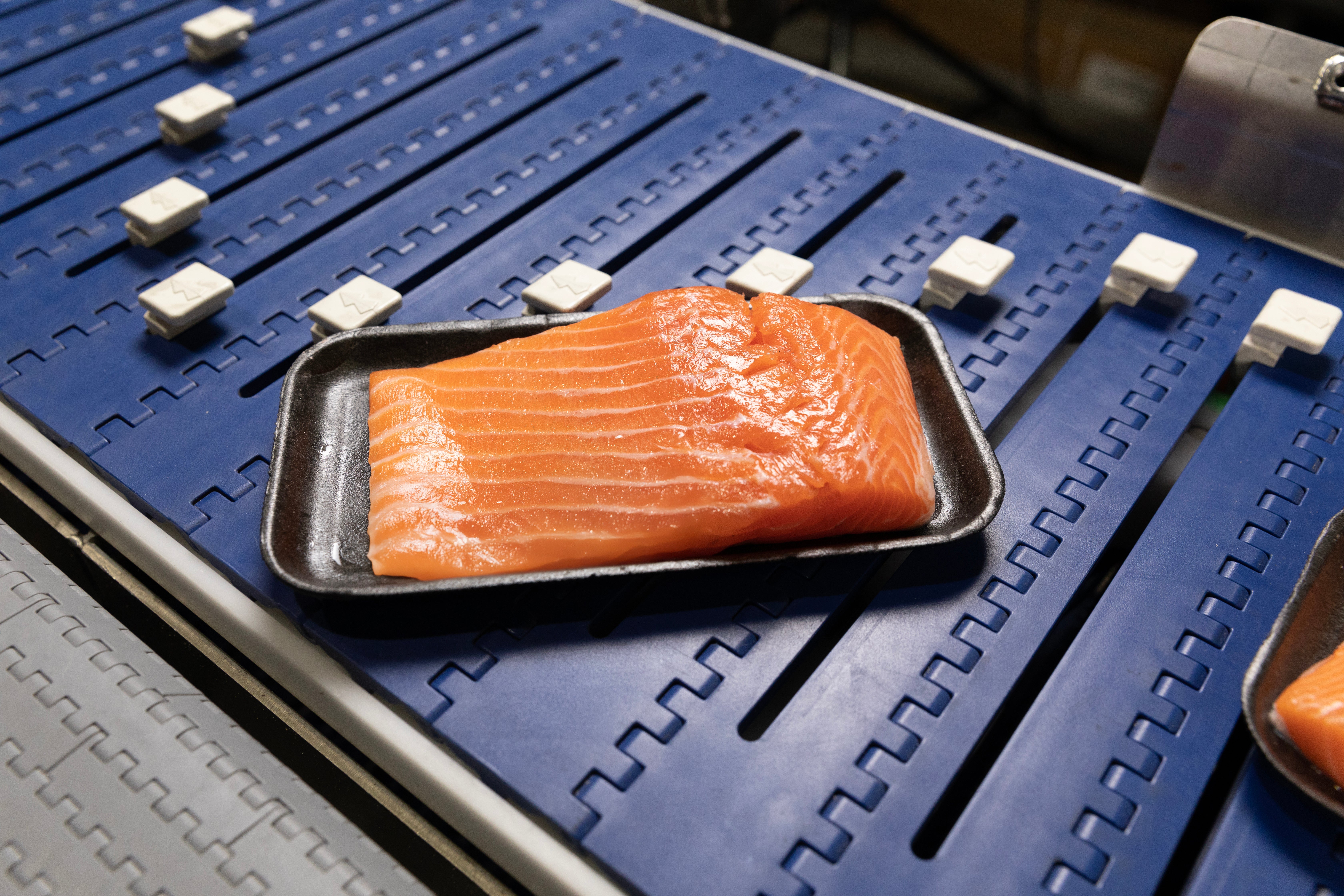 Vassoio con porzioni di filetto di salmone sul trasportatore AIM