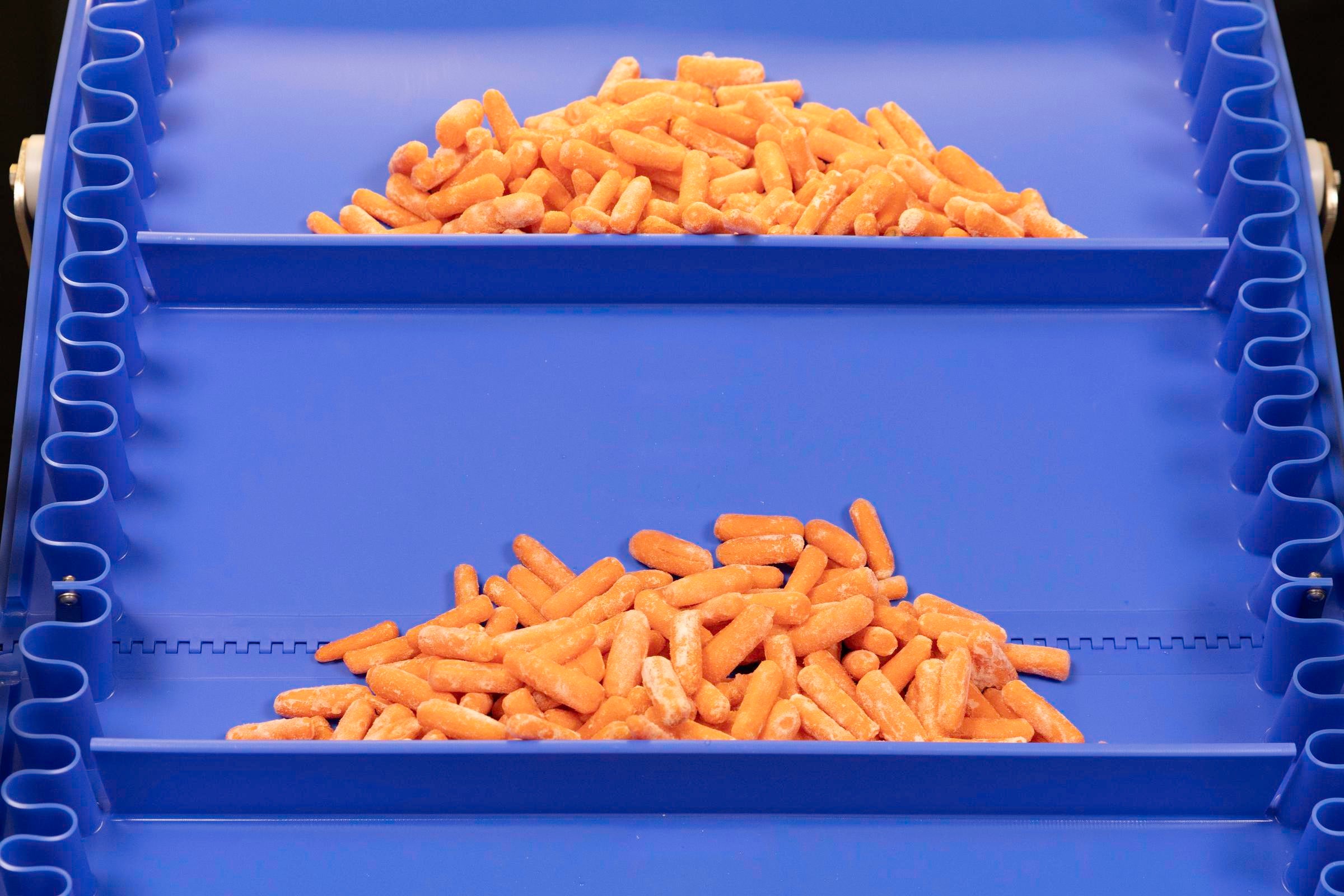 Banda de inclinación ascendente ThermoDrive ZeroSplice con empujadores y Synchronized Sidewalls transportando zanahorias baby