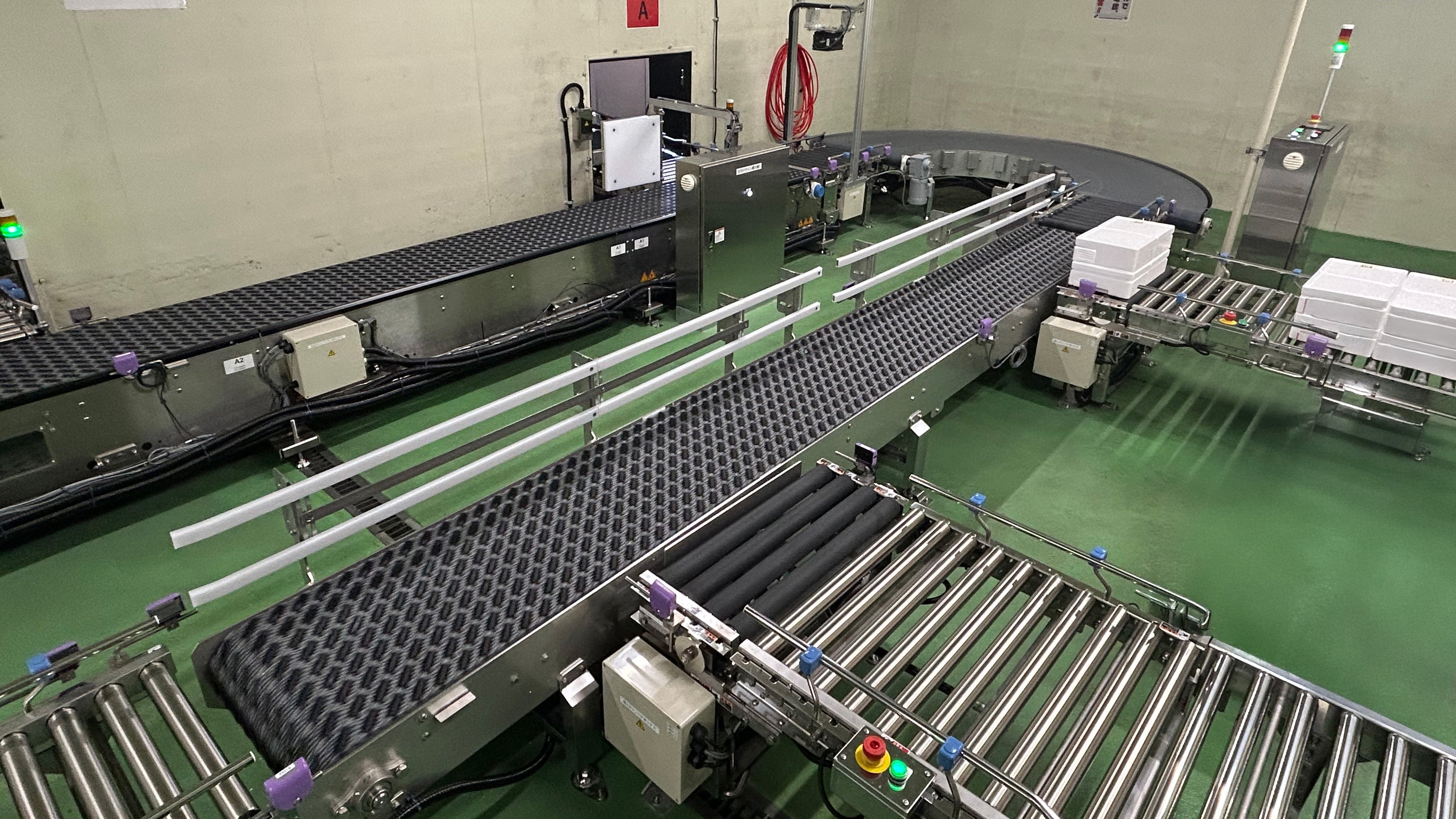 Activated Roller Belt (ARB) transporting white boxes in a clean factory environment.