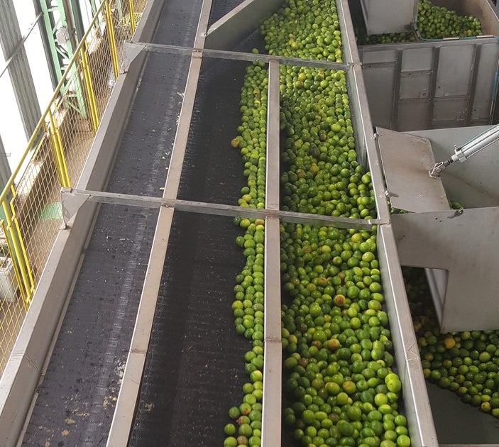 イントラロックスの手を借りて、時間とお金をしぼり出したCitrus Juice 