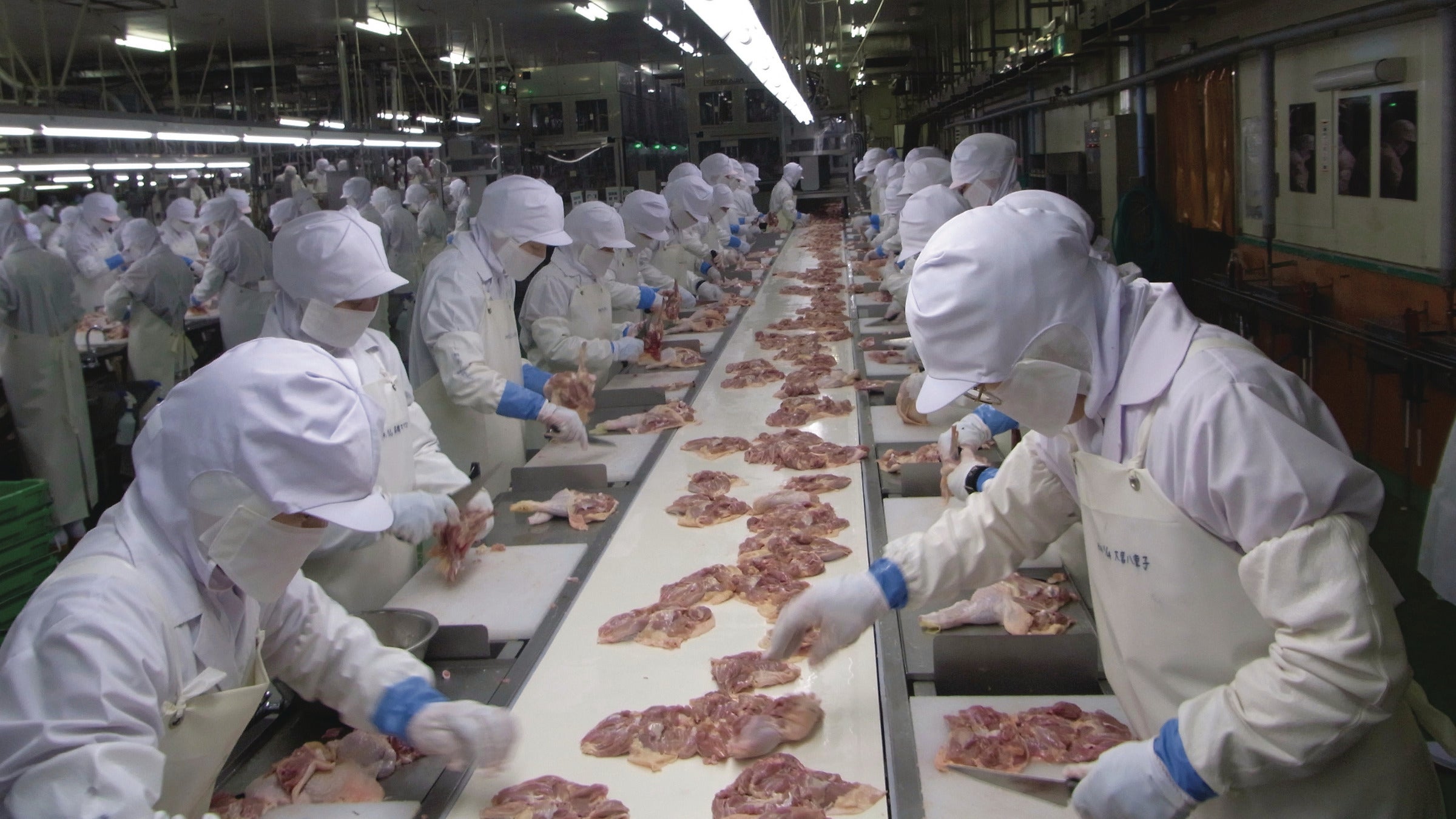 Workers in white processing chicken on white ThermoDrive conveyor belt