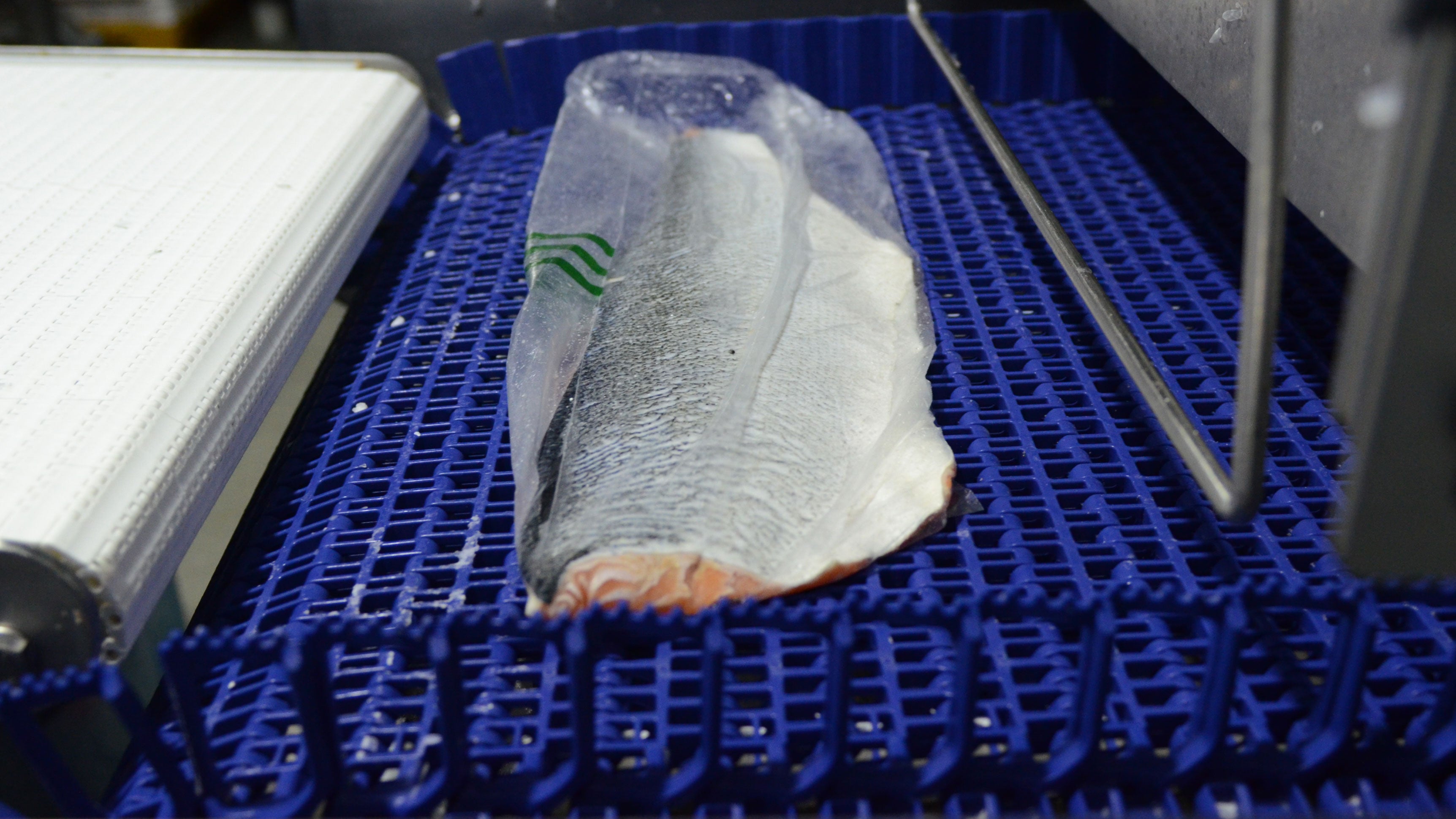 Vacuum-packed skin-on salmon filet lying flesh side down on a DirectDrive Stacker
