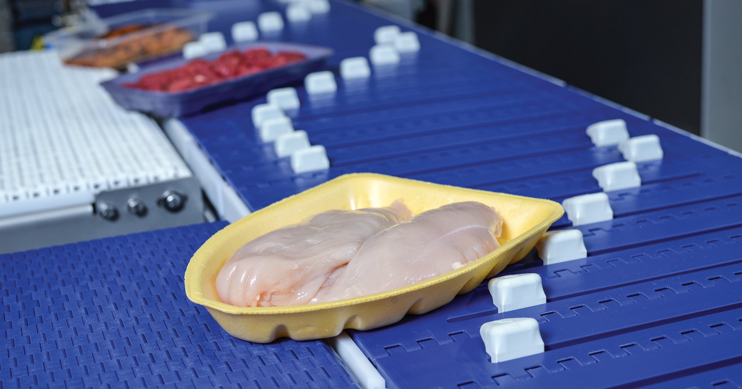 Traypacks mit verschiedenen Fleischsorten auf dem AIM Mehrbahn-Sortiersystem