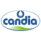 Candia
