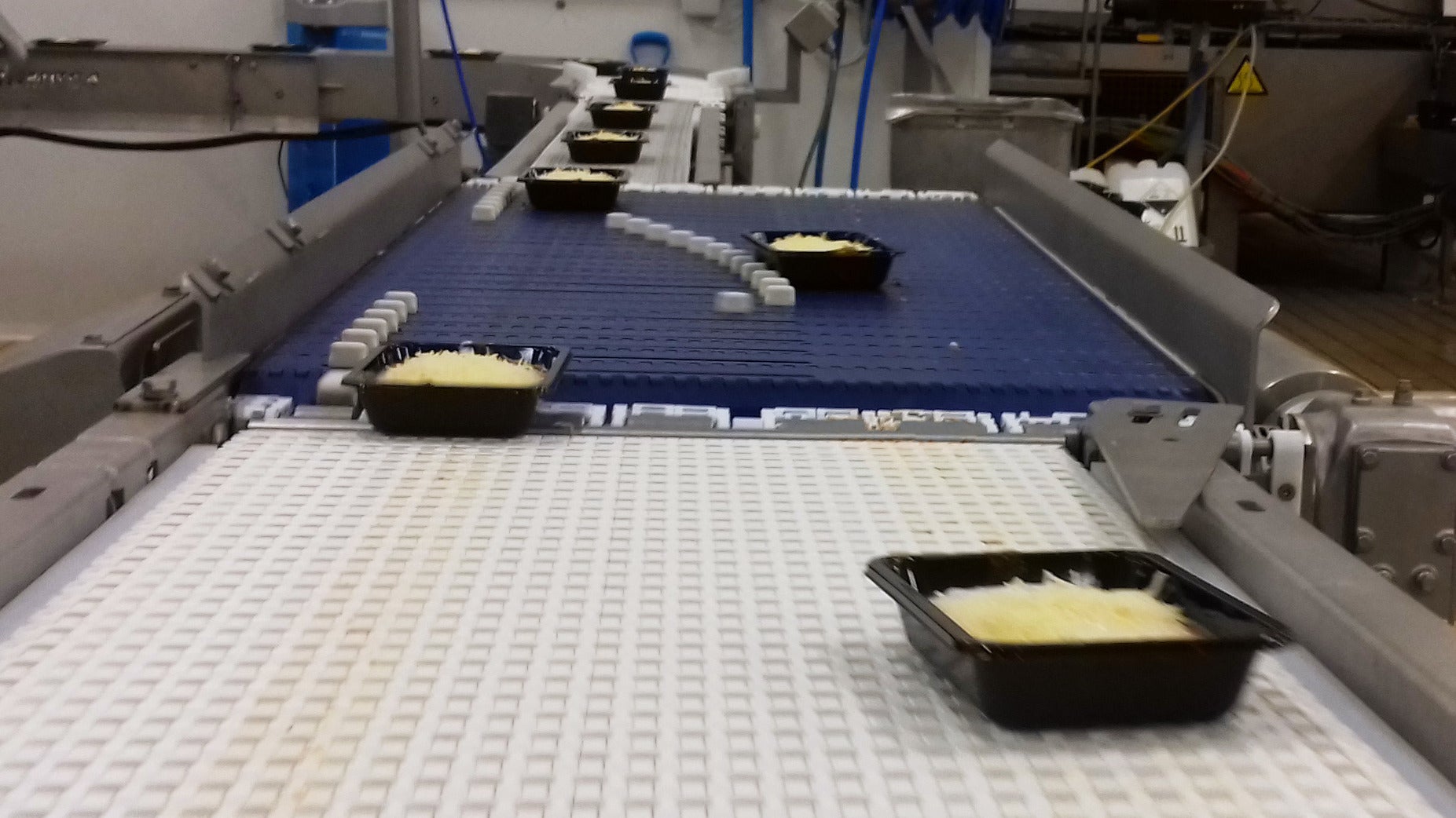 Trays of lasagna on Intralox AIM Switch