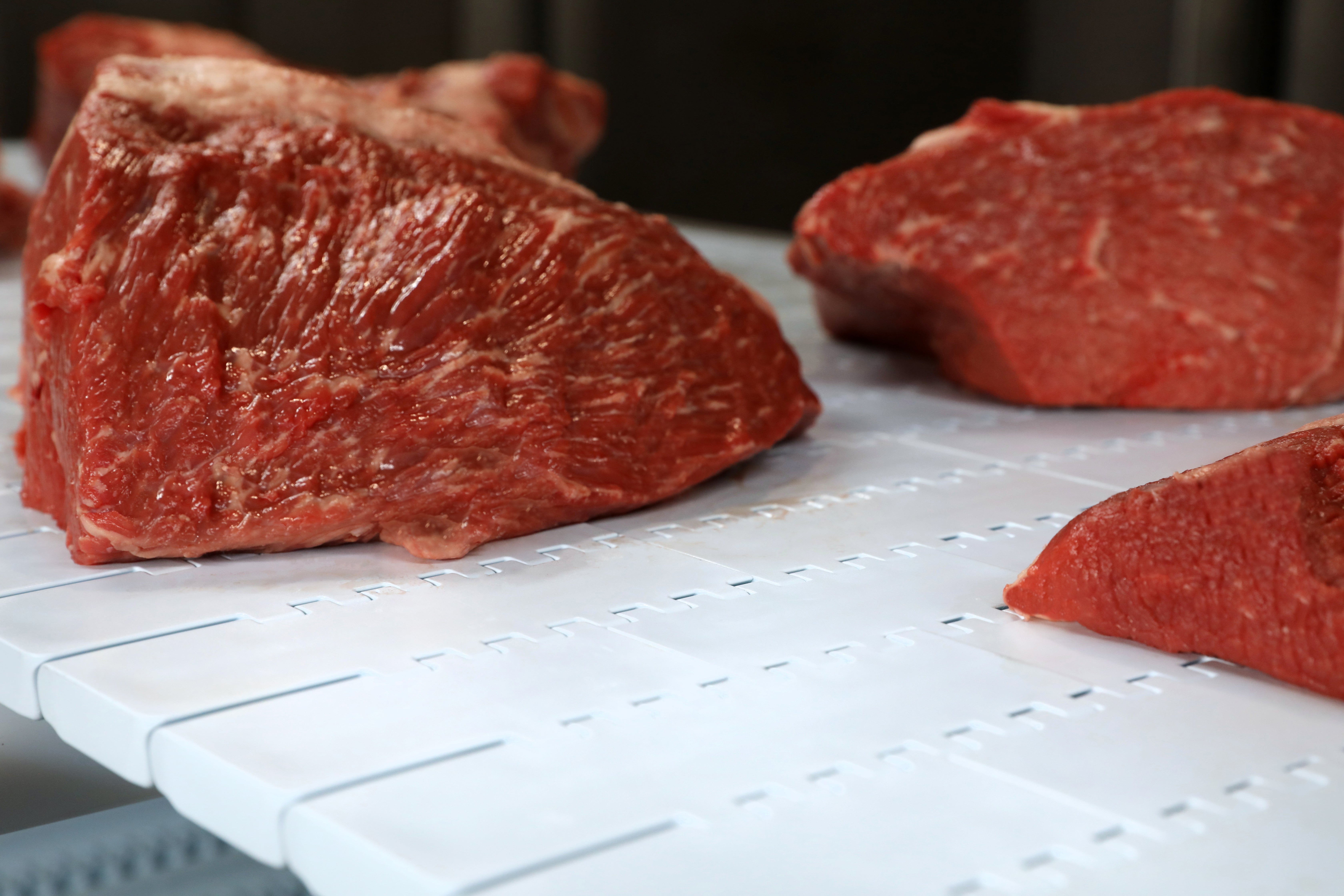 800 系列 HDE PK 传送带上的牛肉块