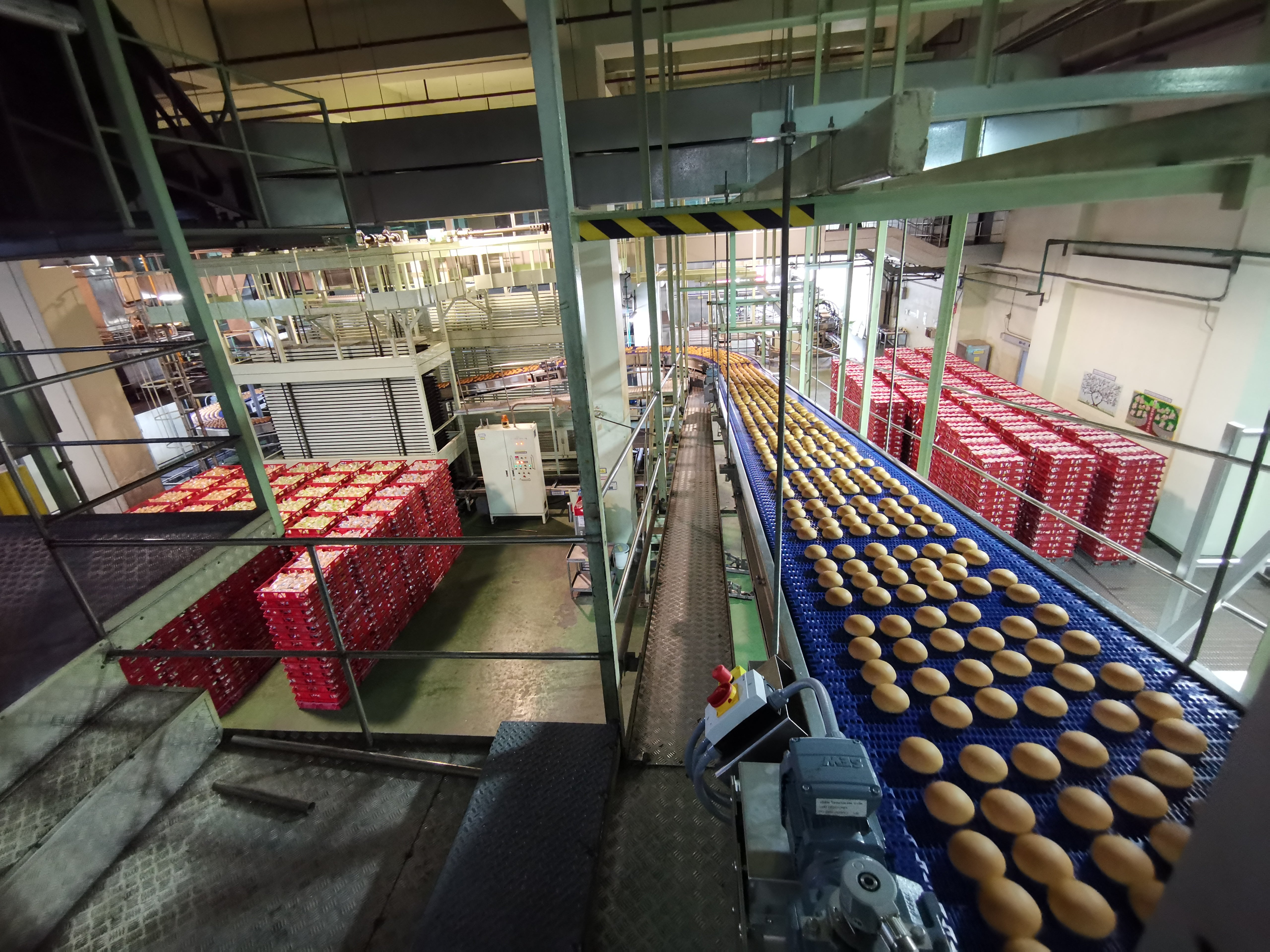 Une boulangerie avec des petits pains sur un convoyeur à entraînement latéral Intralox