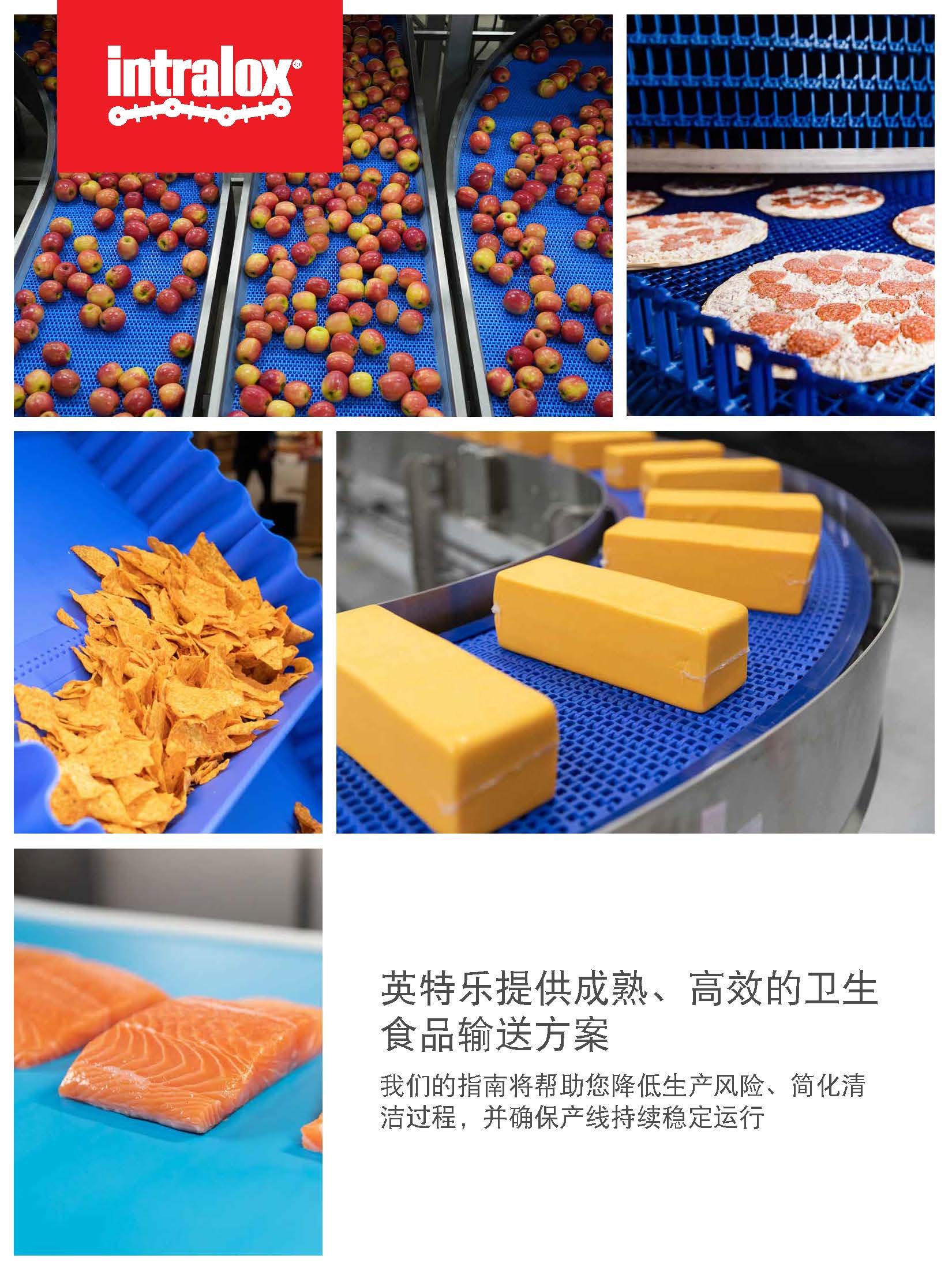 白皮书《英  特乐高效卫生食品输送——经实践验证的解决方案》的缩略图