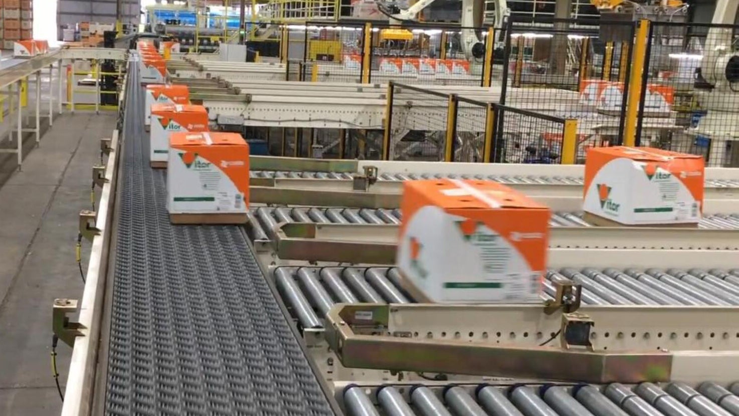 Fresh produce boxes on ARB Sorter