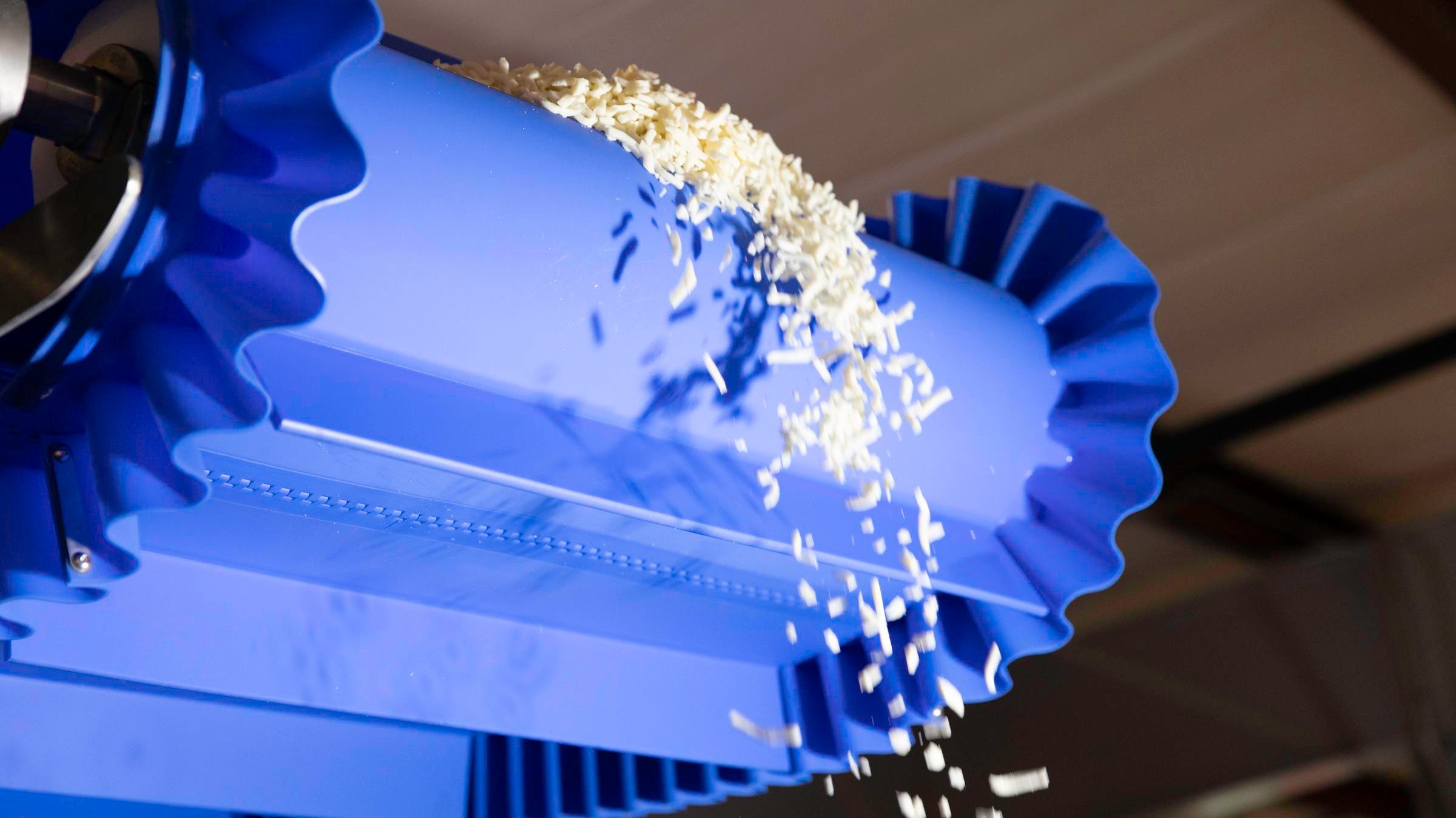 Geriebener Weißkäse, der aus einem ThermoDrive ZeroSplice-Förderband mit Mitnehmern und Seitenwänden läuft