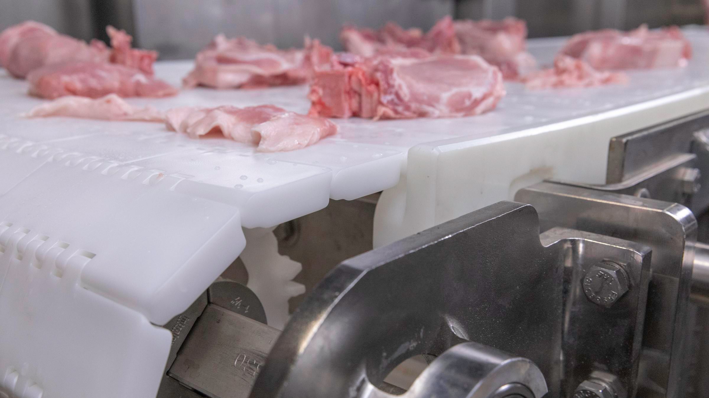 Cortes de carne suína na esteira transportadora Série 800 HDE em acetal natural