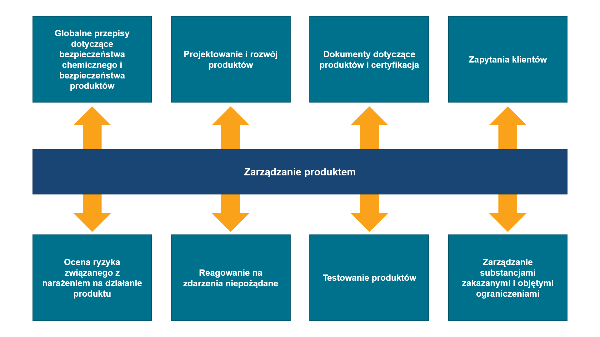 Infografika dotycząca zarządzania produktem