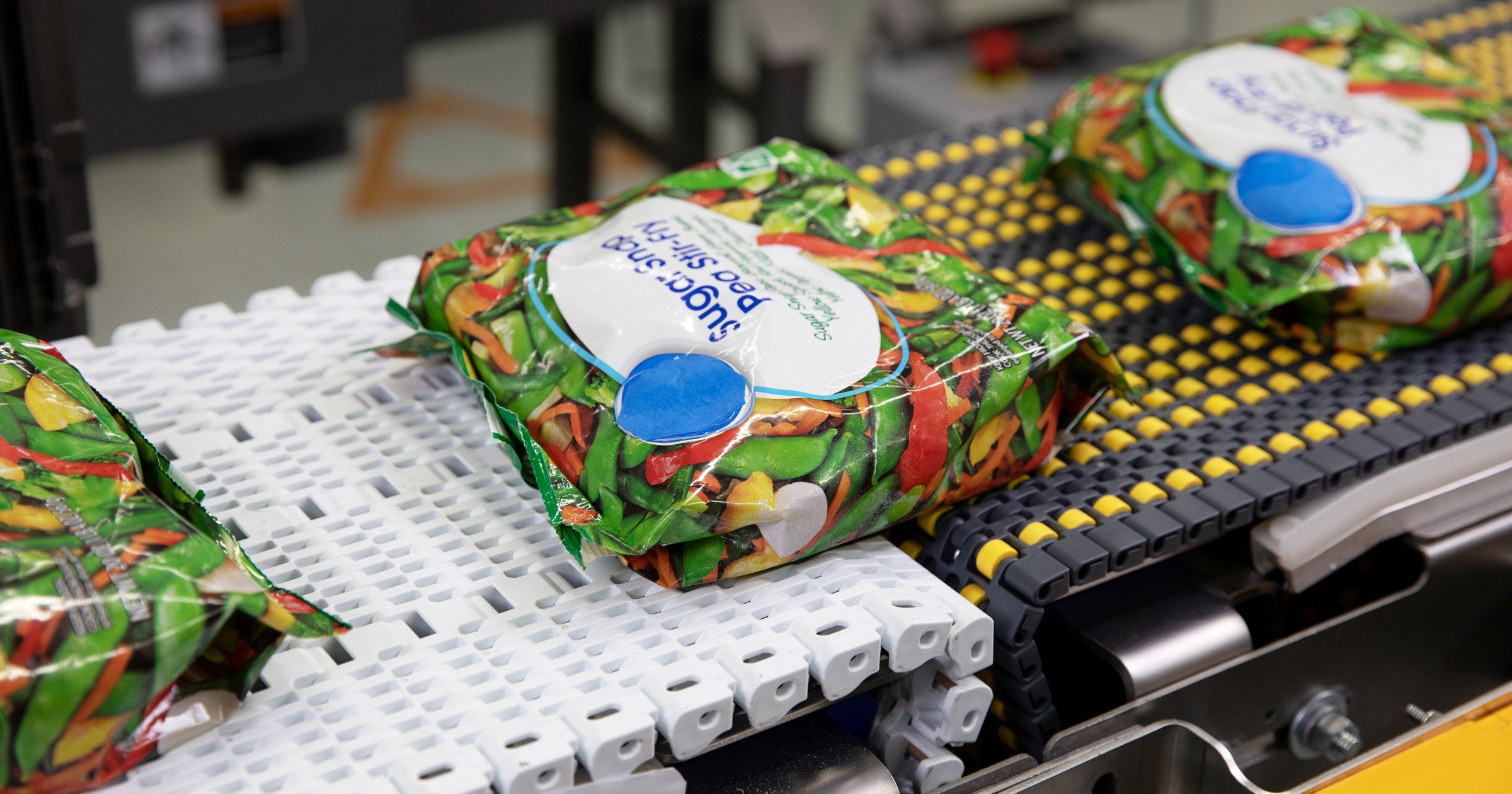 Transferência de legumes ensacados em esteira transportadora