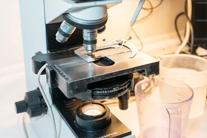 Smithfield BioScience, University of Virginia Partner for Regenerative Medicine Research