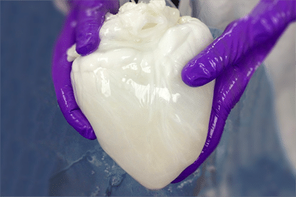 ‘Big Pork’ Wants to Get In on Organ Transplants