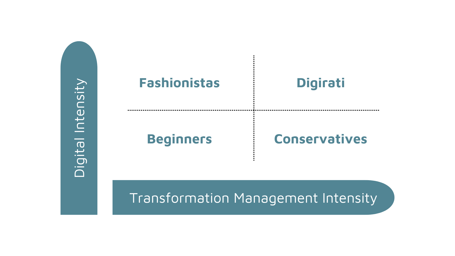 Digital Maturity Matrix
