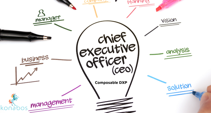 https://assets-us-01.kc-usercontent.com:443/1bfb8498-0a69-0062-41f9-7be1ab72379a/b3d6a8e0-1df5-473d-9677-c84995b77cd6/564039_explaining-composable-dxp-to-a-chief-executive-officer-ceo.png