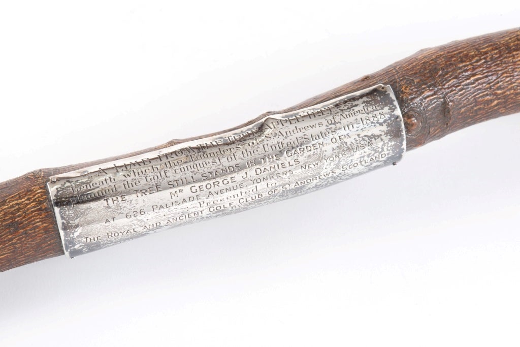 Short tree branch with silver plaque saying, "A limb from the true apple tree: Beneath which the Founders of St Andrews of America planned the golf conquest of the United States in 1888. The tree still stands in the garden of Mr George J. Daniels at 626 Palisade Ave, Yonkers, New York USA. Presented to the Royal and Ancient Golf Club of St Andrews Scotland by Robert H. Davis, Member of St Andrews of America, April 1923”