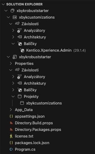 Solution setup for cutomizations