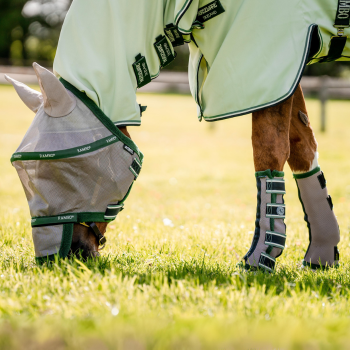 Why You Need Fly Boots for Horses Horseware Ireland