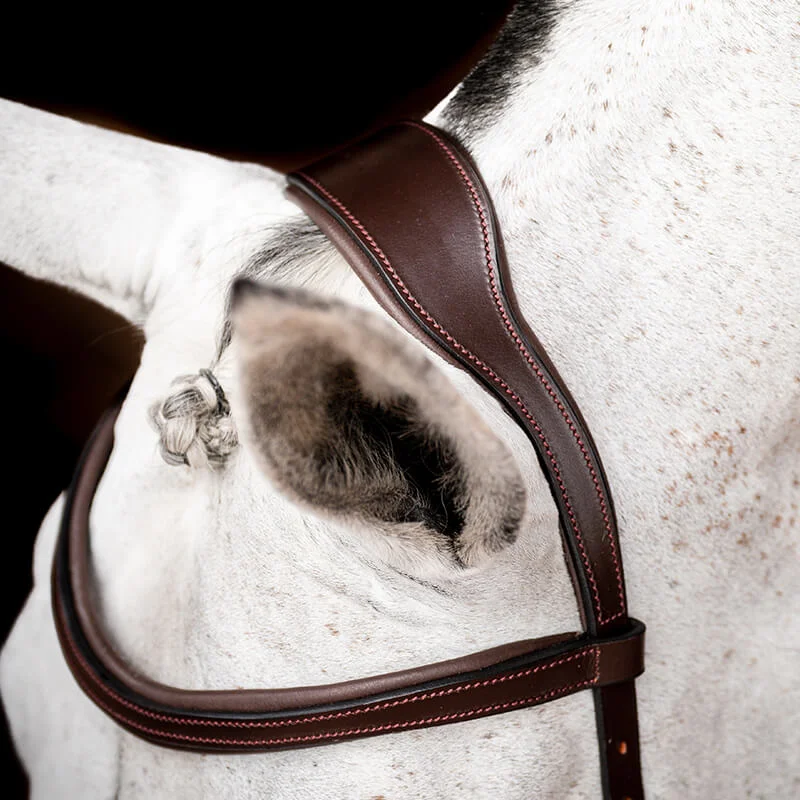Sangle longue anatomique Micklem en cuir cheval - Horseware - HORSEWARE -  Sangle standard - Equestra