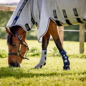 Why You Need Fly Boots for Horses Horseware Ireland