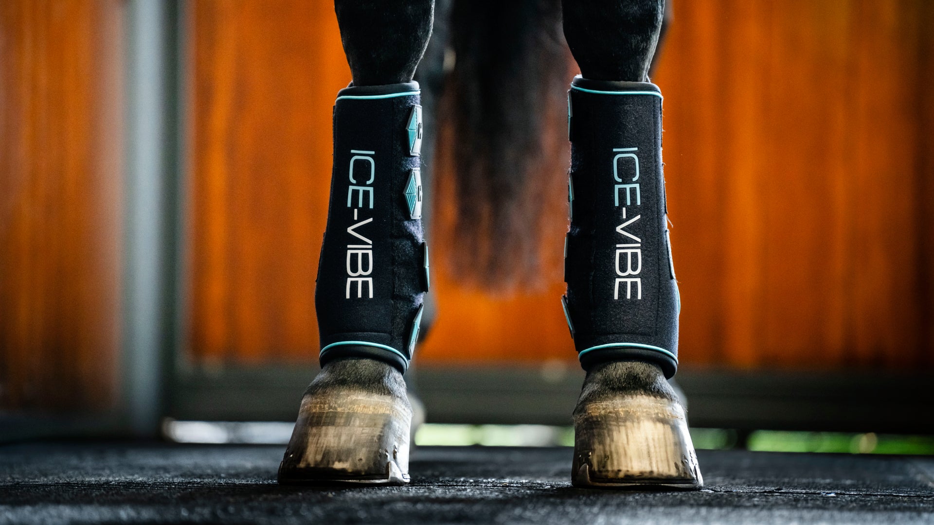 Horseware Ice-Vibe - Bateau (Couverture De Reins) Pour Cheval - Neuf