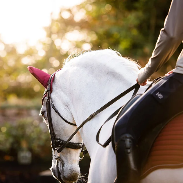 Horseware Ireland ® Official site Shop Online Today