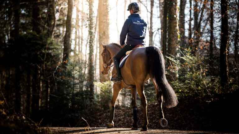 How to Tack a Horse 101 - Complete Guide