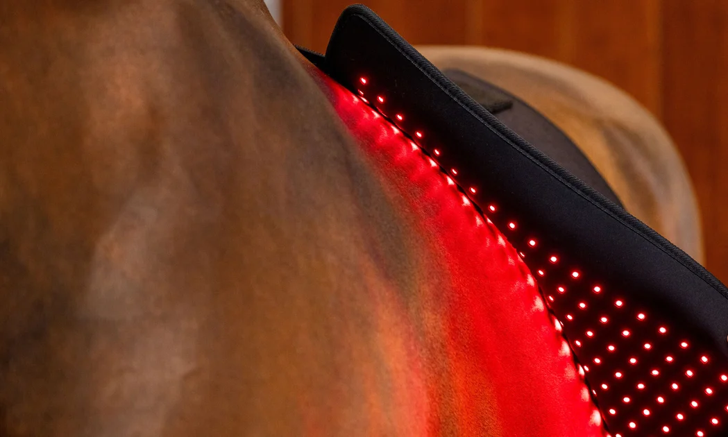 Horseware LED Red Light Therapy | Horseware Ireland ®
