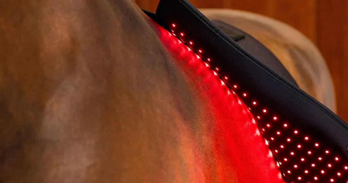 Horseware LED Red Light Therapy | Horseware Ireland ®