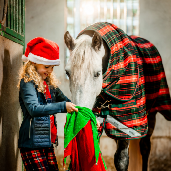 The Preppy Equestrian  Christmas gift guide, Unique christmas