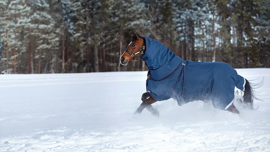 Horseware Ireland ® Official site Shop Online Today