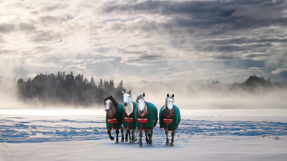 top-christmas-gift-ideas-for-horse-lovers-horseware-ireland-find-the