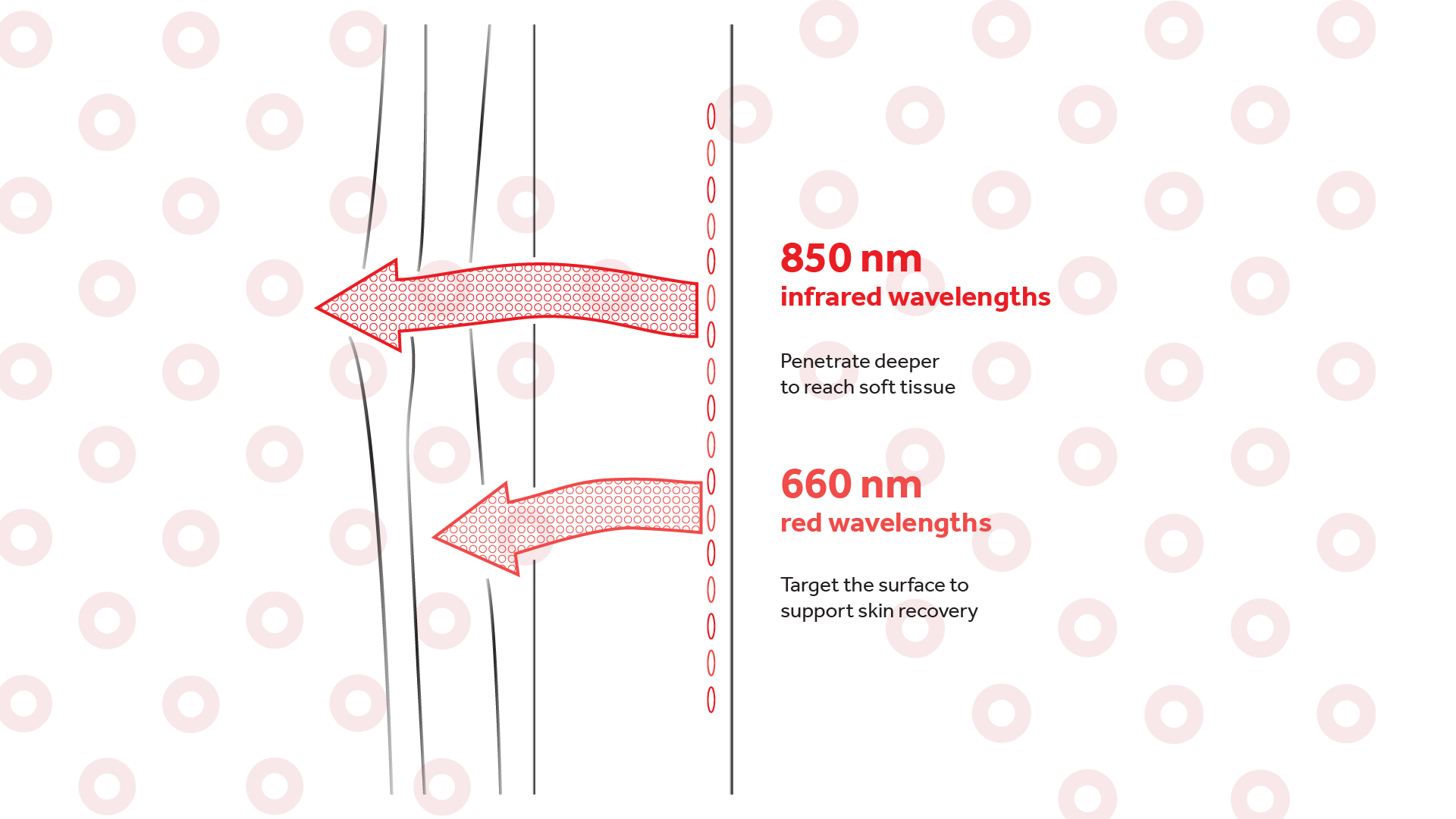 Harnessing the power of red and infrared light, Horseware LED Therapy uses advanced LED technology and a combination of different light wavelengths to offer targeted support for various areas, including the skin and deeper tissues.