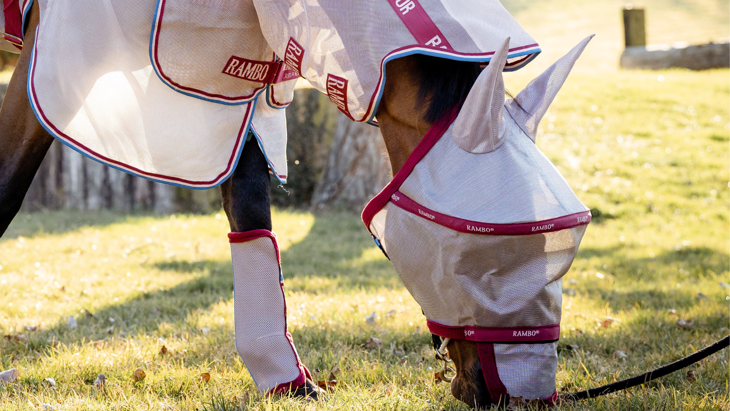 A Holistic Approach to Fly Control for Horses: Top Tips & Tricks