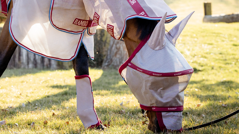 Rambo Protector mit Rambo-Plus-Fliegenmaske und Horseware-Fliegengamaschen