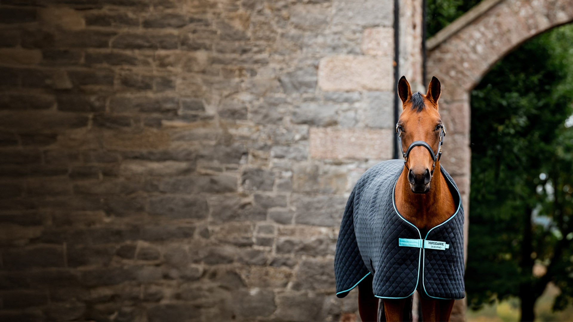 Horseware Ireland® Official United States Online Store