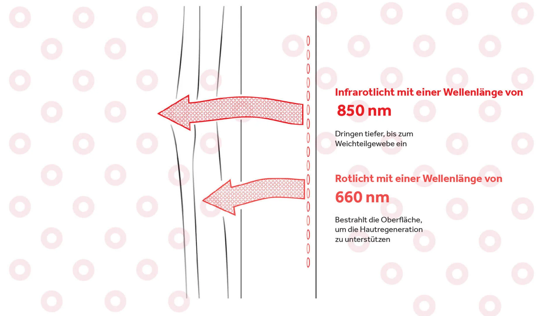 Die LED-Therapie von Horseware nutzt die Wirkkraft von Rot- und Infrarotlicht, um Körperbereiche wie die Haut und tiefer gelegene Gewebe gezielt zu behandeln. Hierfür werden modernste LED-Technologie und eine Kombination verschiedener Lichtwellenlängen eingesetzt.