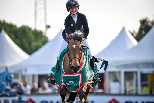 See you at WEF - All you need to know about Wellington - Horseware Ireland