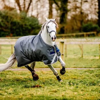 Chemises et Polos de Concours Femme | Equinoxe Shop